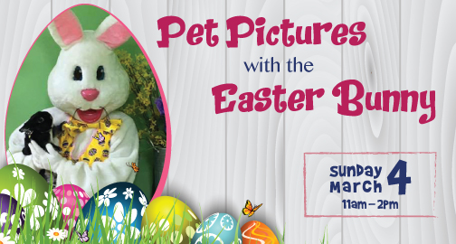 pet pictures with the easter bunny 2018